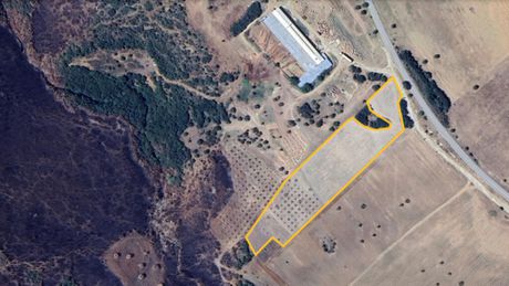 Land plot 11.500 sqm for sale