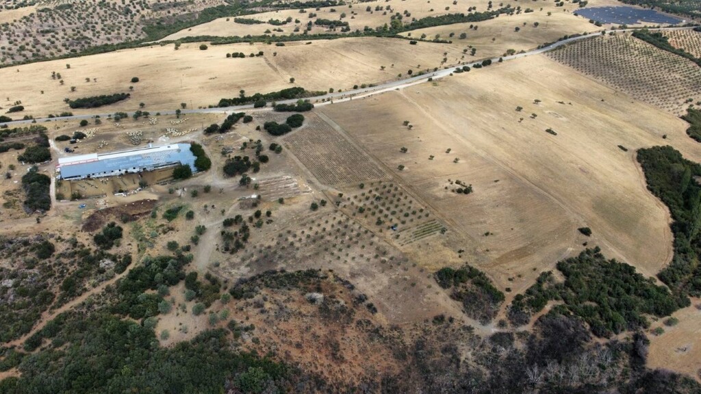 Οικόπεδο 11.500 τ.μ. προς πώληση, Πατελιδάς