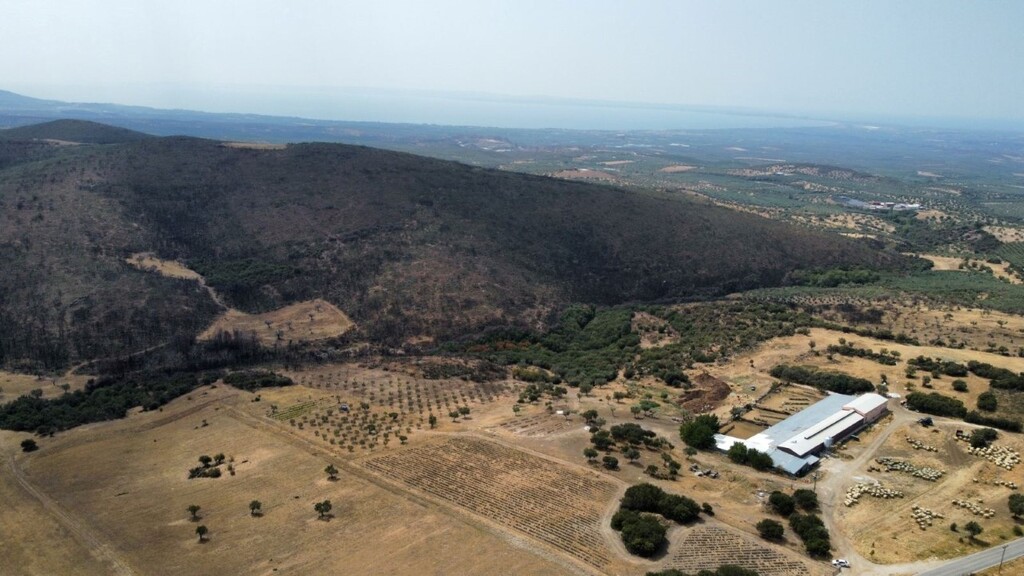 Οικόπεδο 11.500 τ.μ. προς πώληση, Πατελιδάς
