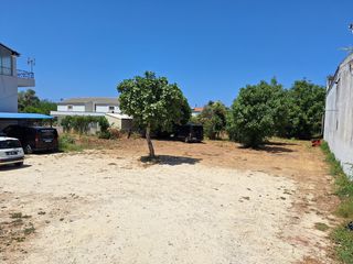 Οικόπεδο 4.600 τ.μ. προς πώληση, Θινάλιο-thumb-2