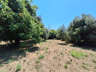 Οικόπεδο 4.600 τ.μ. προς πώληση, Θινάλιο-thumb-3