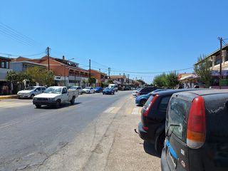 Οικόπεδο 4.600 τ.μ. προς πώληση, Θινάλιο-thumb-13