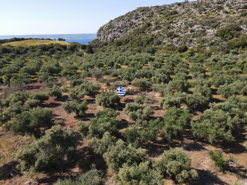 Οικόπεδο 3.657 τ.μ. πρός πώληση, Ν. Χανίων, Βάμος