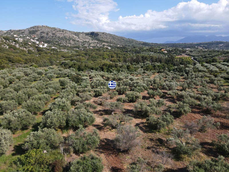 Οικόπεδο 3.657 τ.μ. πρός πώληση, Ν. Χανίων, Βάμος