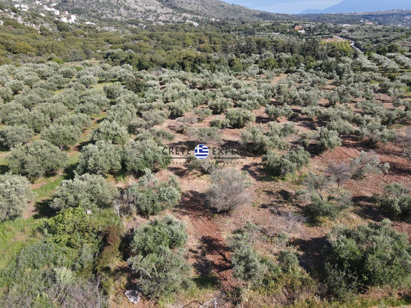 Οικόπεδο 3.657 τ.μ. πρός πώληση, Ν. Χανίων, Βάμος