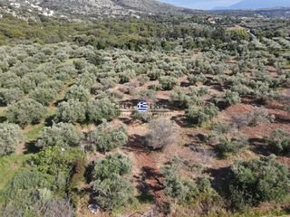 Οικόπεδο 3.657 τ.μ. για πώληση