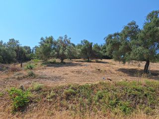 Οικόπεδο 932 τ.μ. για πώληση, Ν. Κέρκυρας, Κέρκυρα-thumb-5
