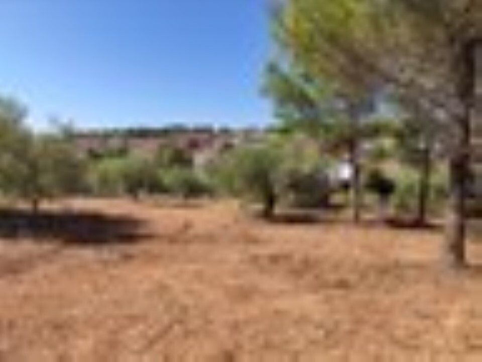 Οικόπεδο 3.208 τ.μ. προς πώληση, Μεταμόρφωση Ορμύλιας