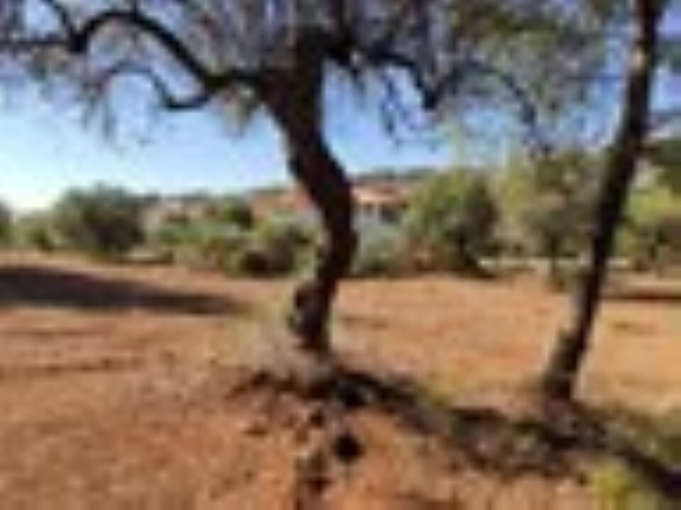 Οικόπεδο 3.208 τ.μ. προς πώληση, Μεταμόρφωση Ορμύλιας