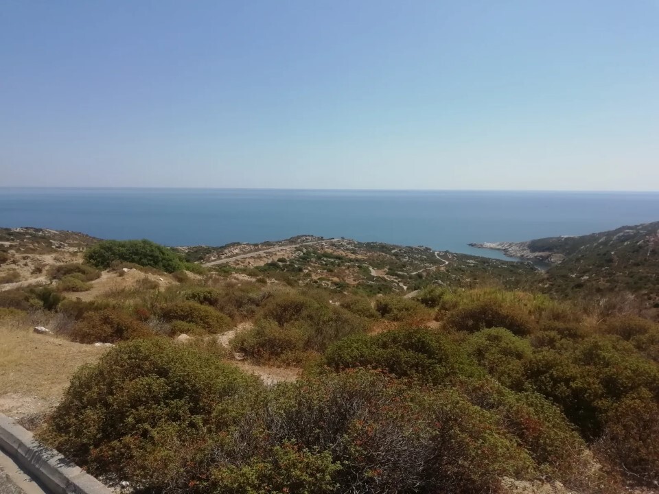 Οικόπεδο 500 τ.μ. προς πώληση, Σκάλα Συκέας