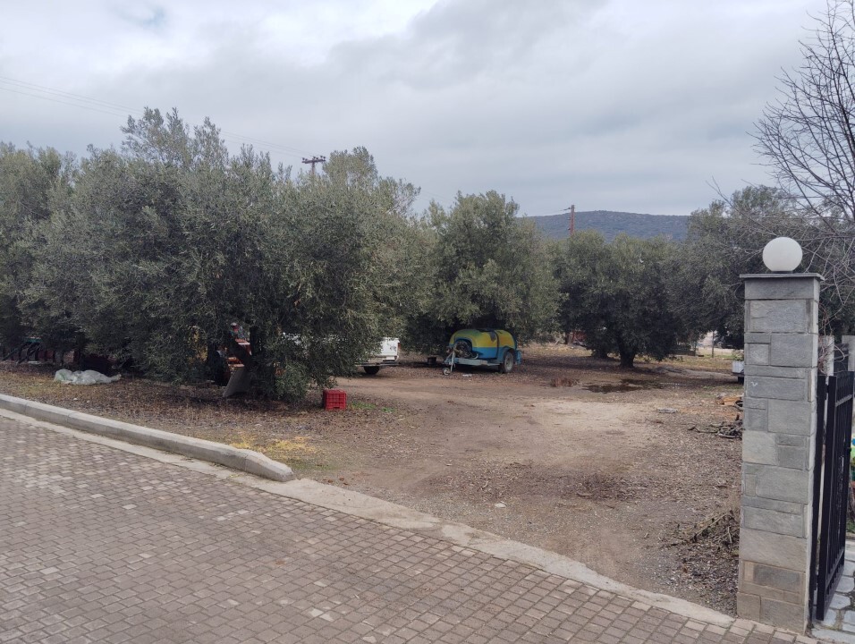 Οικόπεδο 1.305 τ.μ. προς πώληση, Νέα Σερμύλη