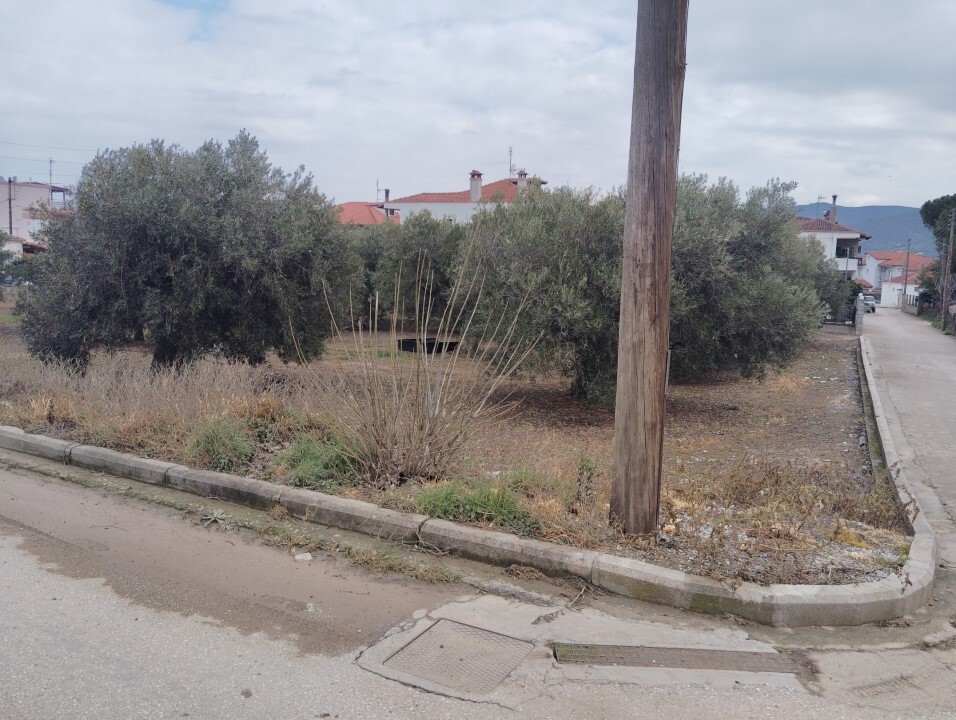Οικόπεδο 1.305 τ.μ. προς πώληση, Νέα Σερμύλη