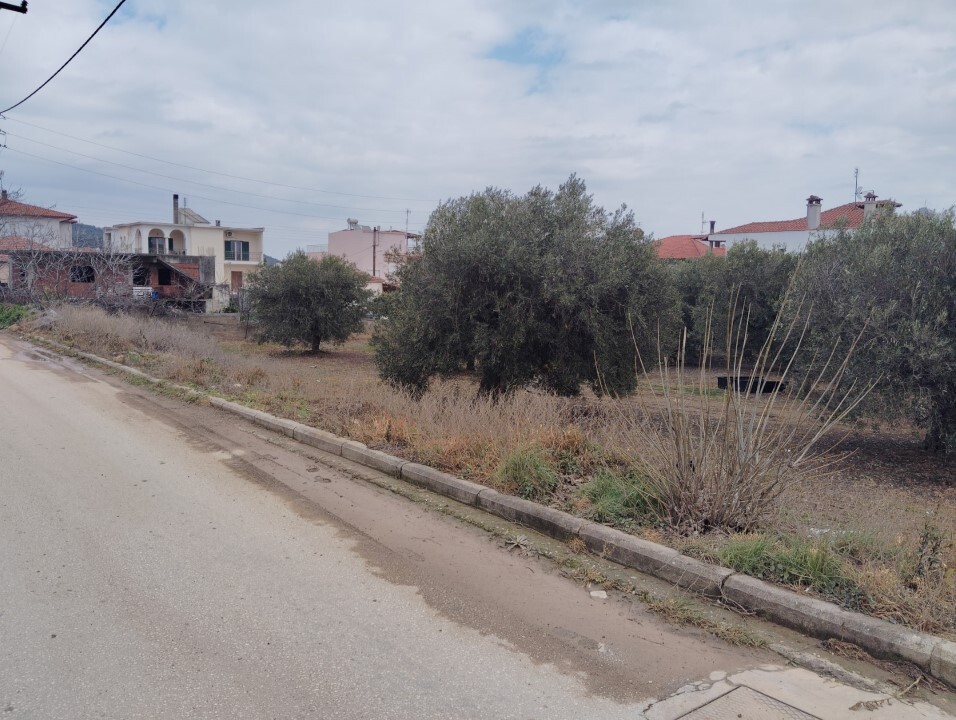 Οικόπεδο 1.305 τ.μ. προς πώληση, Νέα Σερμύλη
