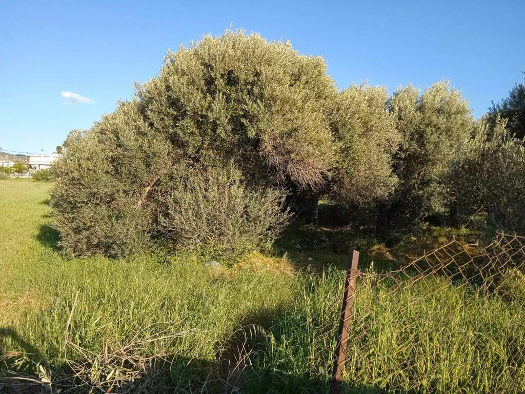Οικόπεδο 2.750 τ.μ. προς πώληση, Κέντρο Χαλκίδας
