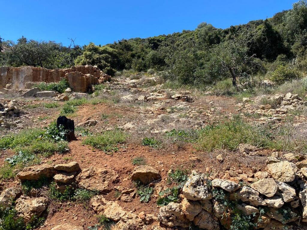 Οικόπεδο 805 τ.μ. προς πώληση, Μελισσουργείο Κολυμβαρίου