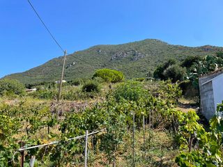 Βίλλα 265 τ.μ. για πώληση, Ν. Κέρκυρας, Κέρκυρα-thumb-50