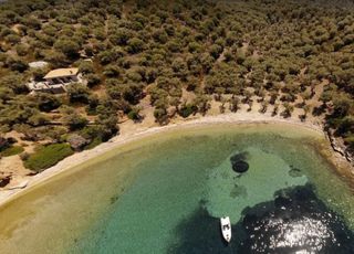 Βίλλα 100 τ.μ. για πώληση, Μαγνησία, Τρικέρι-thumb-2