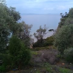 Βίλλα 100 τ.μ. για πώληση, Μαγνησία, Τρικέρι-thumb-5