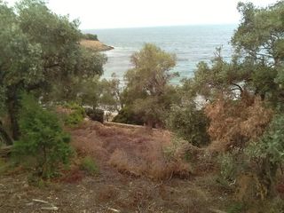 Βίλλα 100 τ.μ. για πώληση, Μαγνησία, Τρικέρι-thumb-3