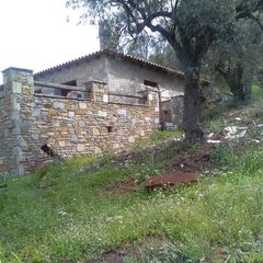 Βίλλα 100 τ.μ. για πώληση, Μαγνησία, Τρικέρι-thumb-16