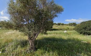 Οικόπεδο 4.150 τ.μ. για πώληση