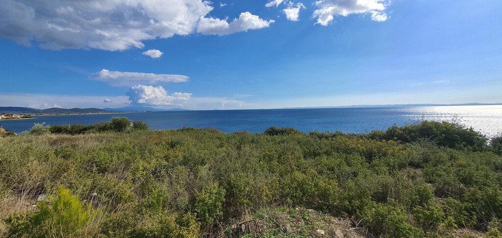Οικόπεδο 4.913 τ.μ. προς πώληση, Ψακούδια