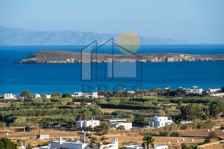 Αγροτεμάχια 8.901 τ.μ. για πώληση