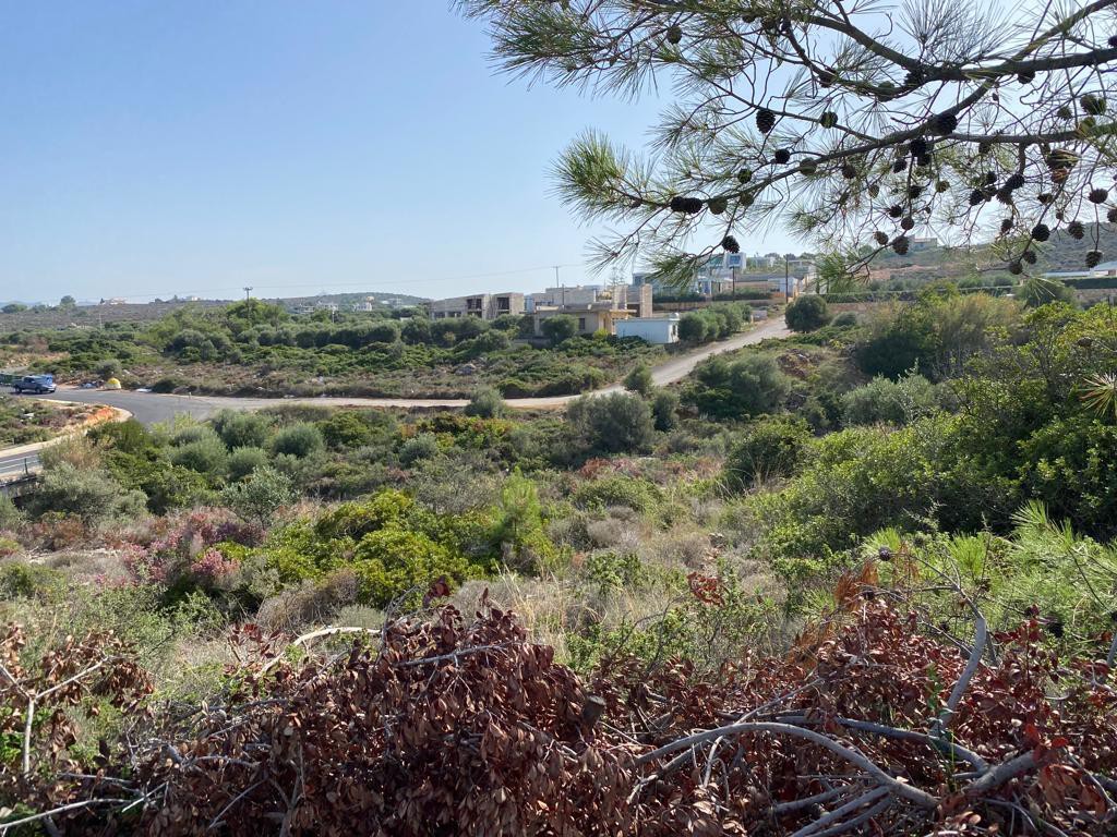 Οικόπεδο 748 τ.μ. προς πώληση, Κουνουπιδιανά