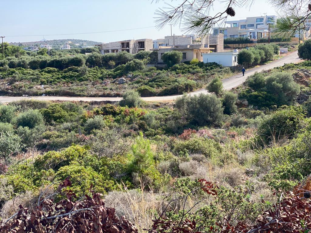 Οικόπεδο 748 τ.μ. προς πώληση, Κουνουπιδιανά