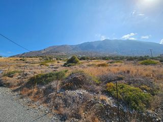 Οικόπεδο 5.159 τ.μ. για πώληση, Ν. Λασιθίου, Ιεράπετρα-thumb-4