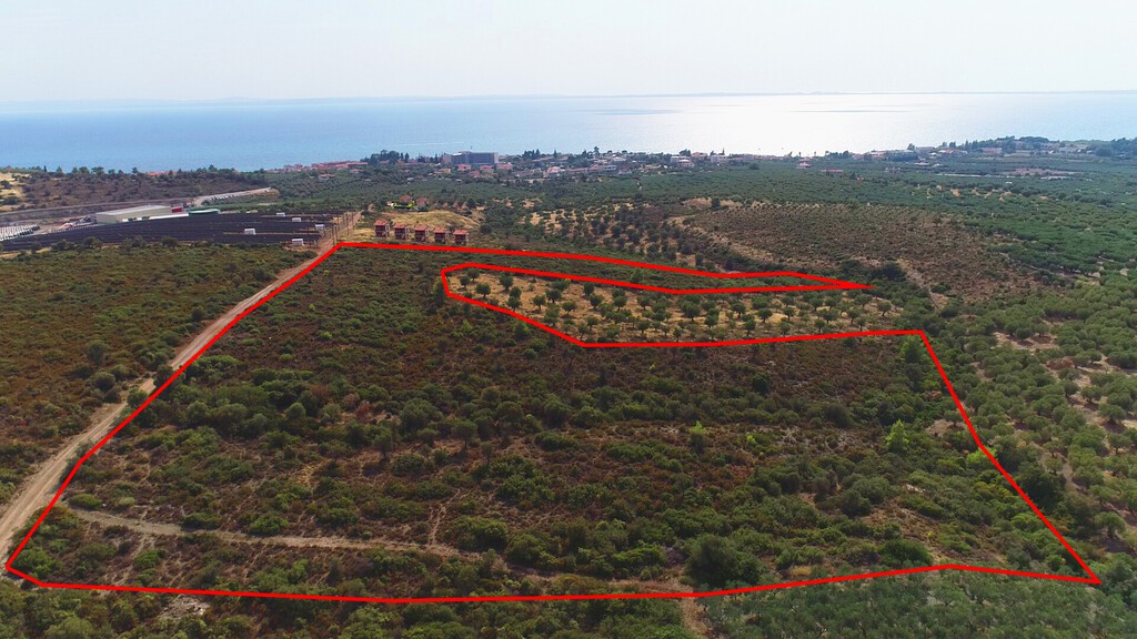 Οικόπεδο 37.500 τ.μ. προς πώληση, Γερακινή
