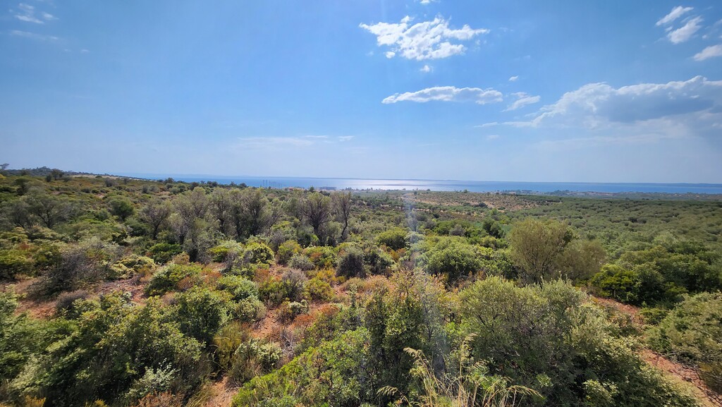 Οικόπεδο 37.500 τ.μ. προς πώληση, Γερακινή