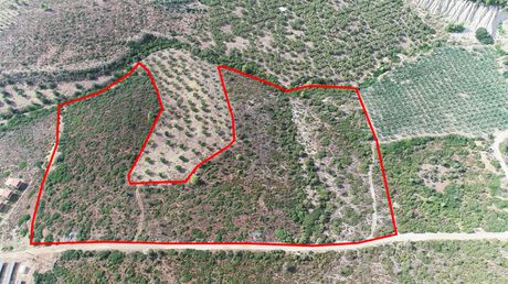 Land plot 37.500 sqm for sale