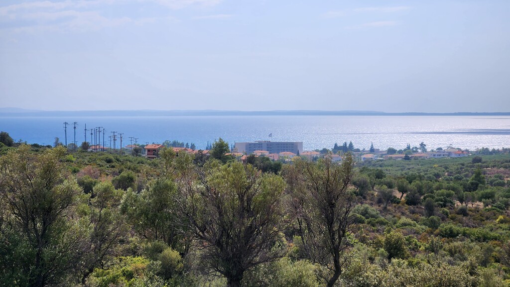 Οικόπεδο 37.500 τ.μ. προς πώληση, Γερακινή