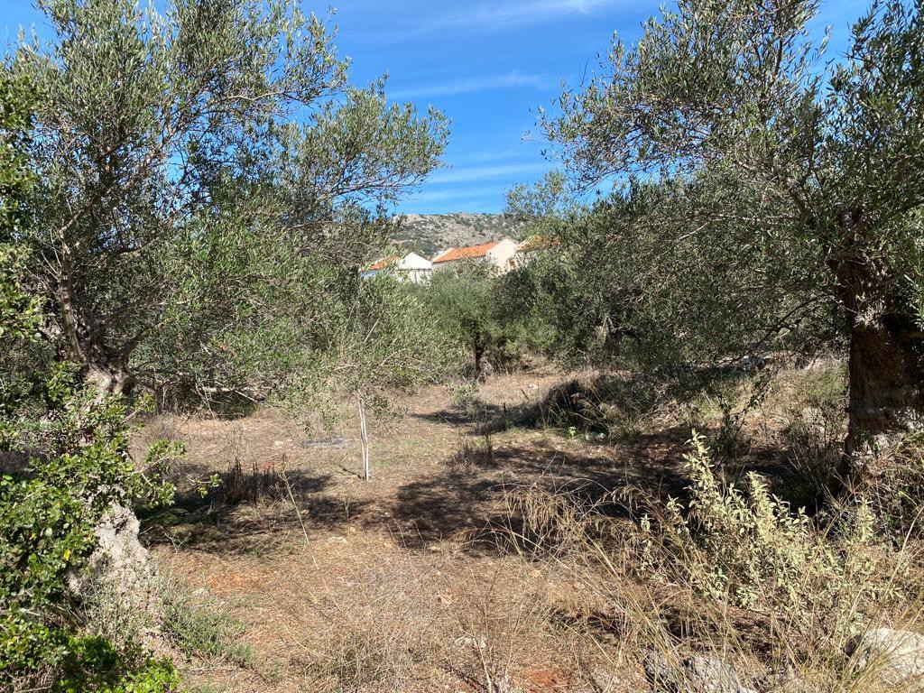 Οικόπεδο 831 τ.μ. προς πώληση, Δράπανος