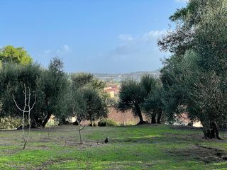 Οικόπεδο 8.500 τ.μ. για πώληση, Ν. Κέρκυρας, Κέρκυρα-thumb-3