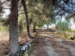 Οικόπεδο 8.500 τ.μ. για πώληση, Ν. Κέρκυρας, Κέρκυρα-thumb-12