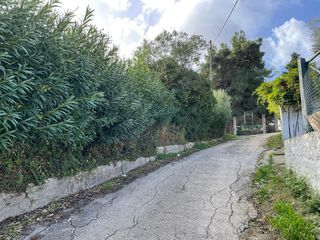 Οικόπεδο 8.500 τ.μ. για πώληση, Ν. Κέρκυρας, Κέρκυρα-thumb-14