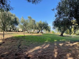 Οικόπεδο 8.500 τ.μ. για πώληση, Ν. Κέρκυρας, Κέρκυρα-thumb-8