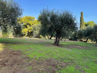 Οικόπεδο 8.500 τ.μ. για πώληση, Ν. Κέρκυρας, Κέρκυρα-thumb-9