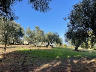 Οικόπεδο 8.500 τ.μ. για πώληση, Ν. Κέρκυρας, Κέρκυρα-thumb-10