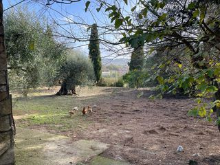 Οικόπεδο 8.500 τ.μ. για πώληση, Ν. Κέρκυρας, Κέρκυρα-thumb-4