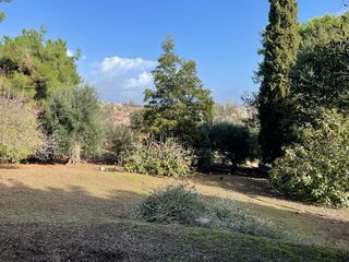 Οικόπεδο 8.500 τ.μ. για πώληση, Ν. Κέρκυρας, Κέρκυρα-thumb-15