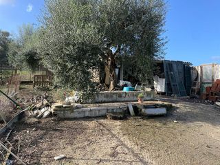 Οικόπεδο 8.500 τ.μ. για πώληση, Ν. Κέρκυρας, Κέρκυρα-thumb-19