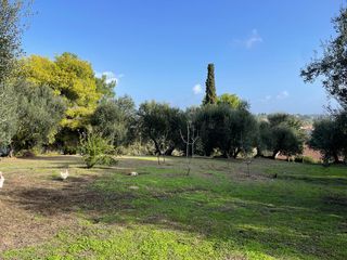 Οικόπεδο 8.500 τ.μ. για πώληση, Ν. Κέρκυρας, Κέρκυρα-thumb-2