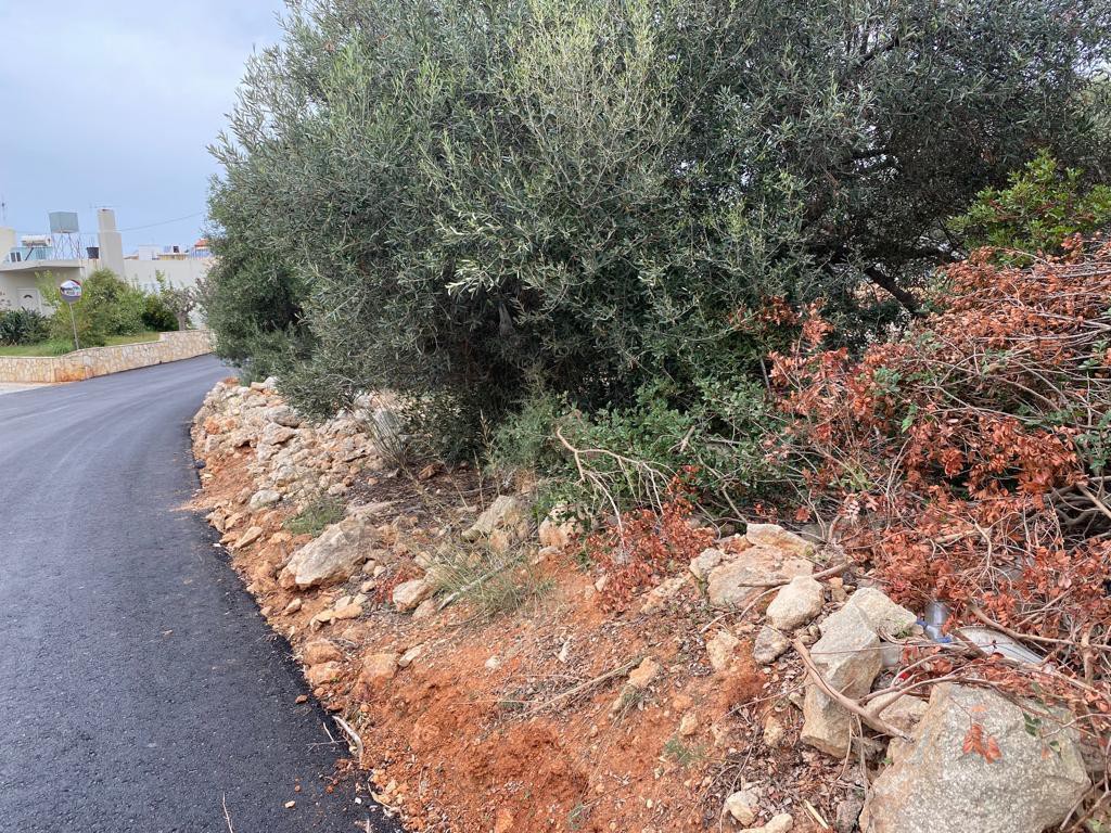 Οικόπεδο 1.040 τ.μ. προς πώληση, Κουνουπιδιανά