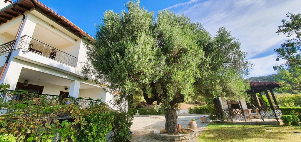 Βίλλα 300 τ.μ. πρός πώληση, Χαλκιδική, Σιθωνία