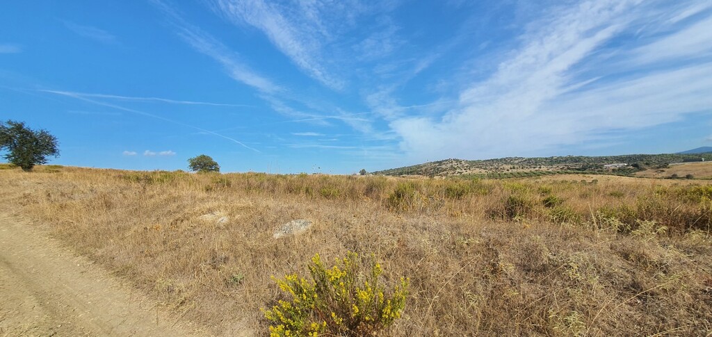 Οικόπεδο 5.200 τ.μ. προς πώληση, Νικήτη