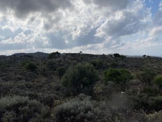 Οικόπεδο 8.000 τ.μ. για πώληση, Ν. Χανίων, Κεράμια-thumb-3