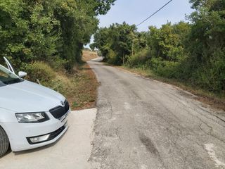 Οικόπεδο 7.421 τ.μ. για πώληση, Ν. Κέρκυρας, Κέρκυρα-thumb-15